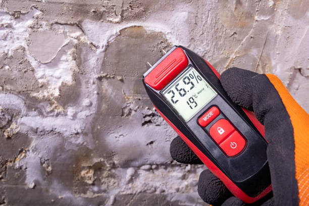 Professional Mold Removal in West Freehold, NJ