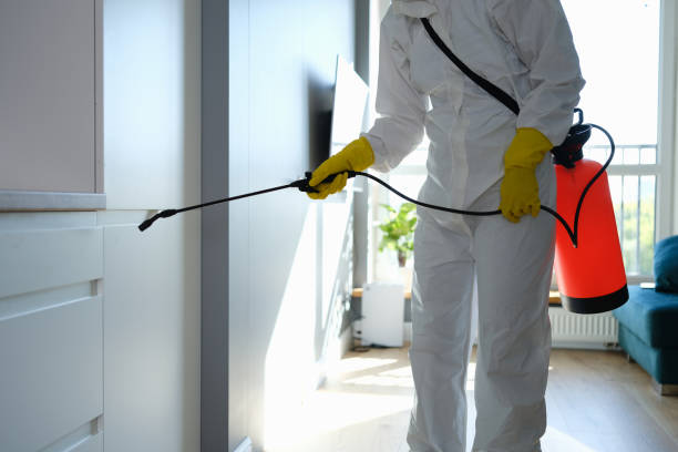 Best Commercial Mold Removal  in West Freehold, NJ